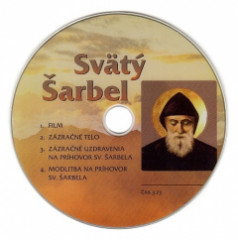 DVD - Svt arbel