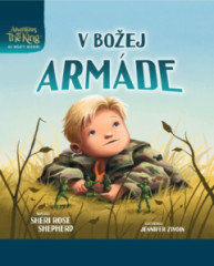 V Boej armde