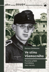 Ve stnu Vemocnho