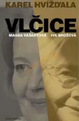 Vlice